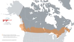 Gogobiz Canada 10910121 Gogobiz Canada 10910121