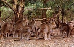 The case looked rigged from the start. Half of the case’s six scheduled court hearings were postponed – two of which saw the Ukrainian judge changed at the last minute. The case looked rigged from the start. Half of the case’s six scheduled court hearings were postponed – two of which saw the Ukrainian judge changed at the last minute.