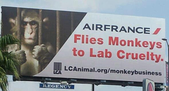 Last Chance for Animals (LCA) has brought mainstream attention to Air France's primate transportation policy by posting a massive billboard on Century Blvd. close to Los Angeles International Airport.