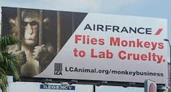 Last Chance for Animals (LCA) has brought mainstream attention to Air France&apos;s primate transportation policy by posting a massive billboard on Century Blvd. close to Los Angeles International Airport.