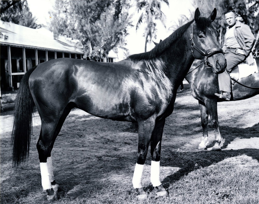 Citation, the eighth Triple Crown winner.