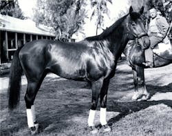 Citation, the eighth Triple Crown winner. Citation, the eighth Triple Crown winner.