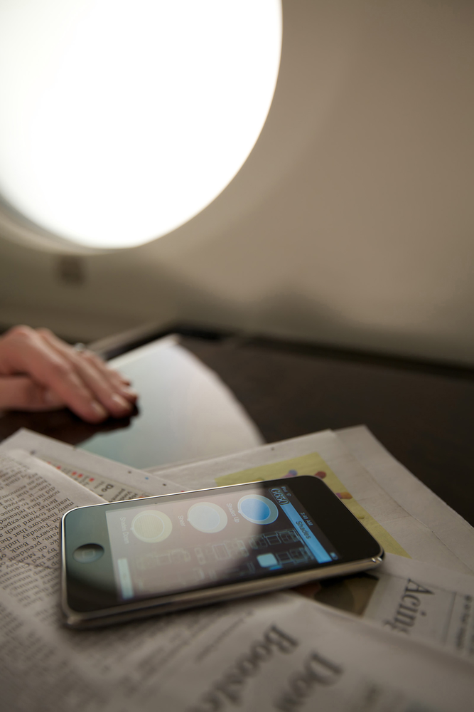 Flightsafety Gulfstream Cabin 10944362