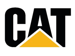 Cat Logo 10984646