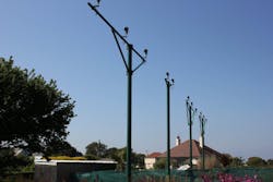 Guernsey 014 11003578 Guernsey 014 11003578