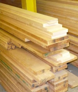 Spruce2 10988164 Spruce2 10988164