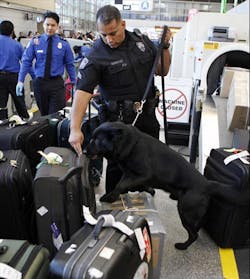 Lax Dogx Large 11286078 Lax Dogx Large 11286078