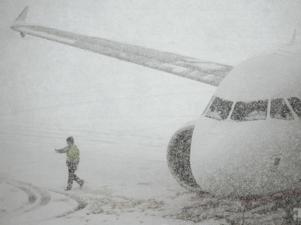 Winterflight 11288597