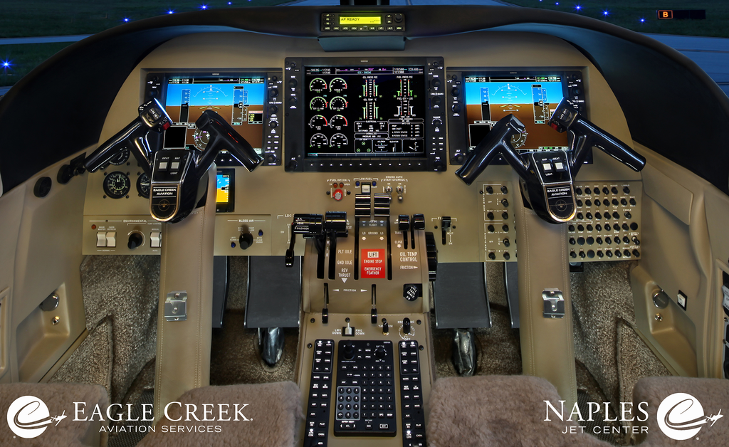 Ecas Garmin G950 Panel 11449185