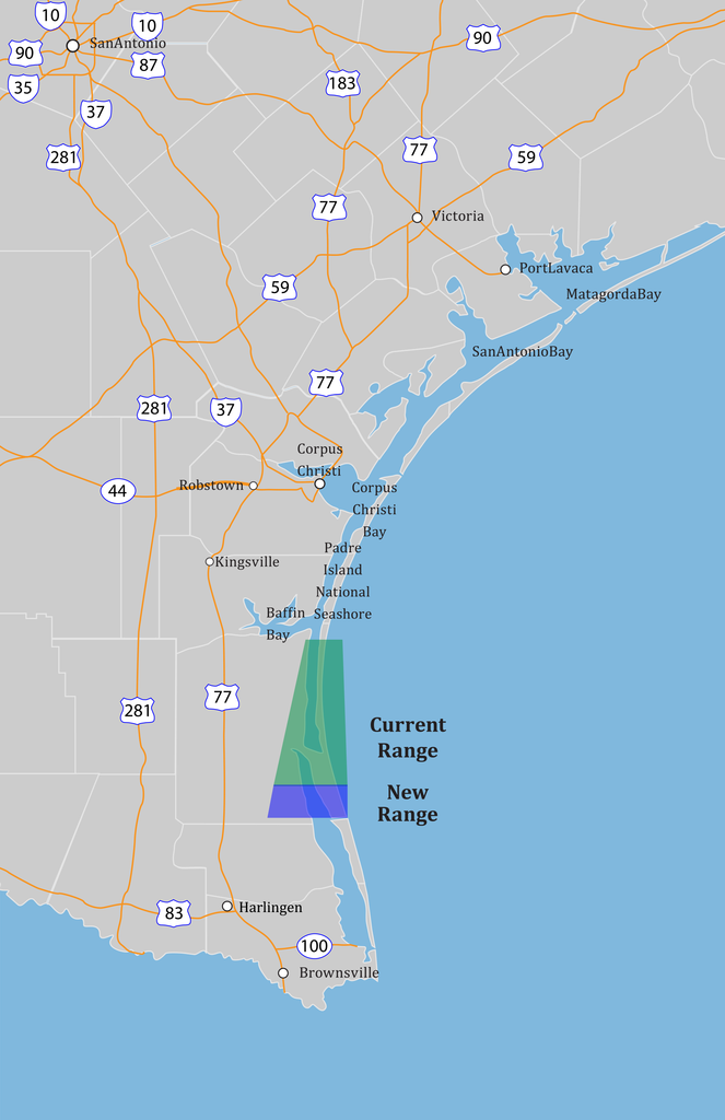 Port Mansfield Range 11686598