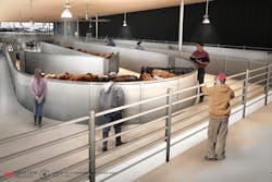 A rendering of the livestock handling system planned for John F. Kennedy International Airport. A rendering of the livestock handling system planned for John F. Kennedy International Airport.