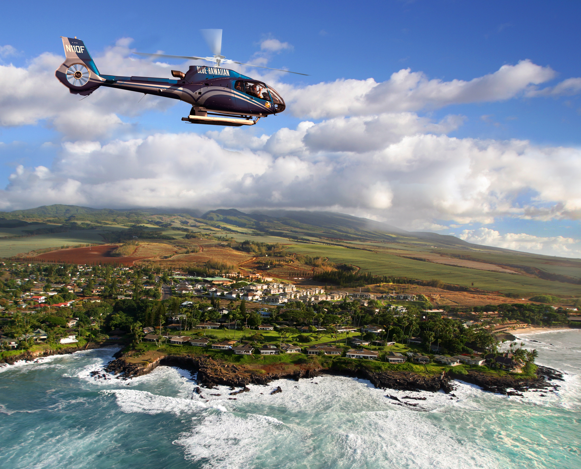 Blue Hawaiian 5542ad81b1f6f