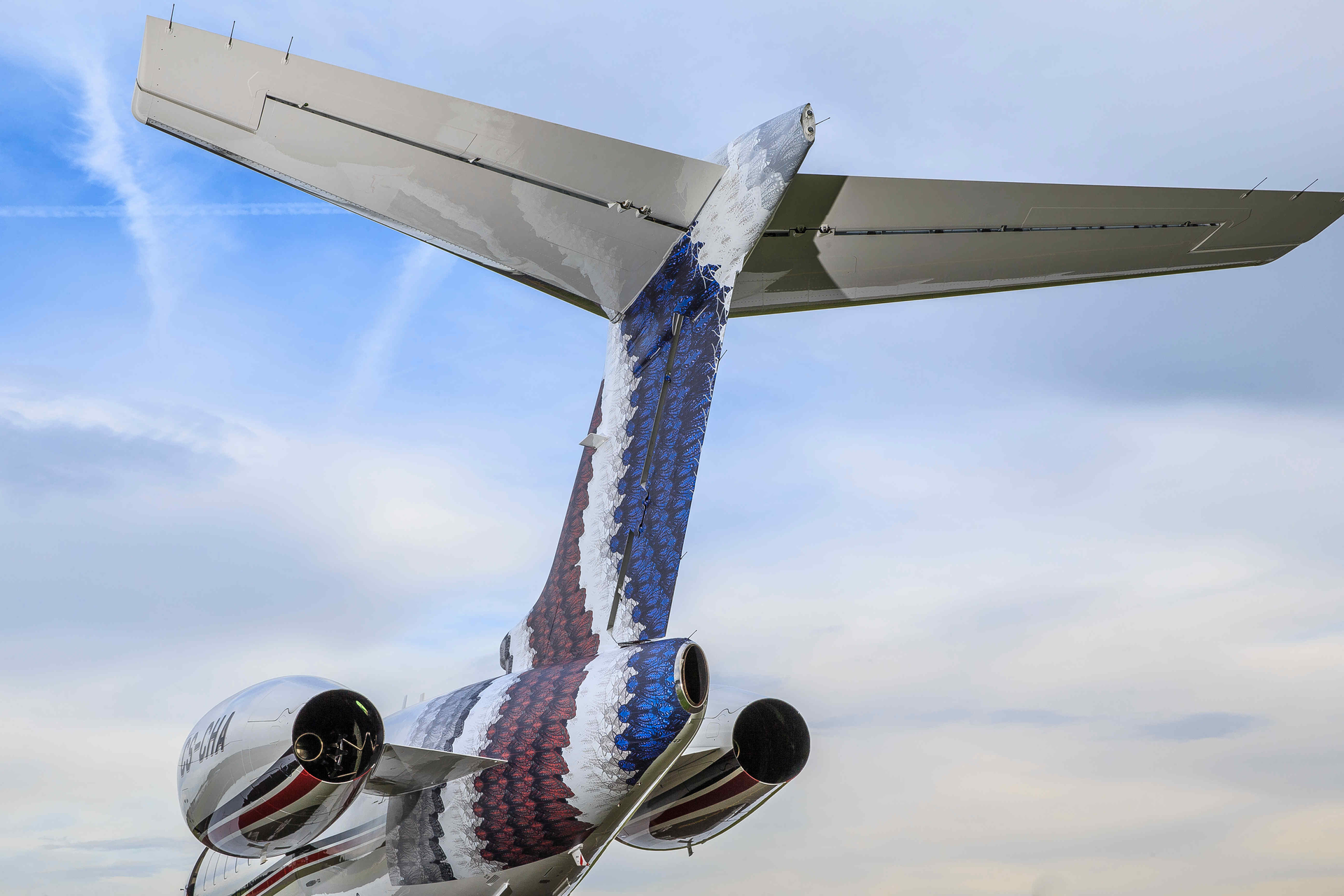 NETJETS EUROPE BASEL ART C350 028 lo res 55807c26ab576