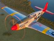 REDTAIL 556c86db69887