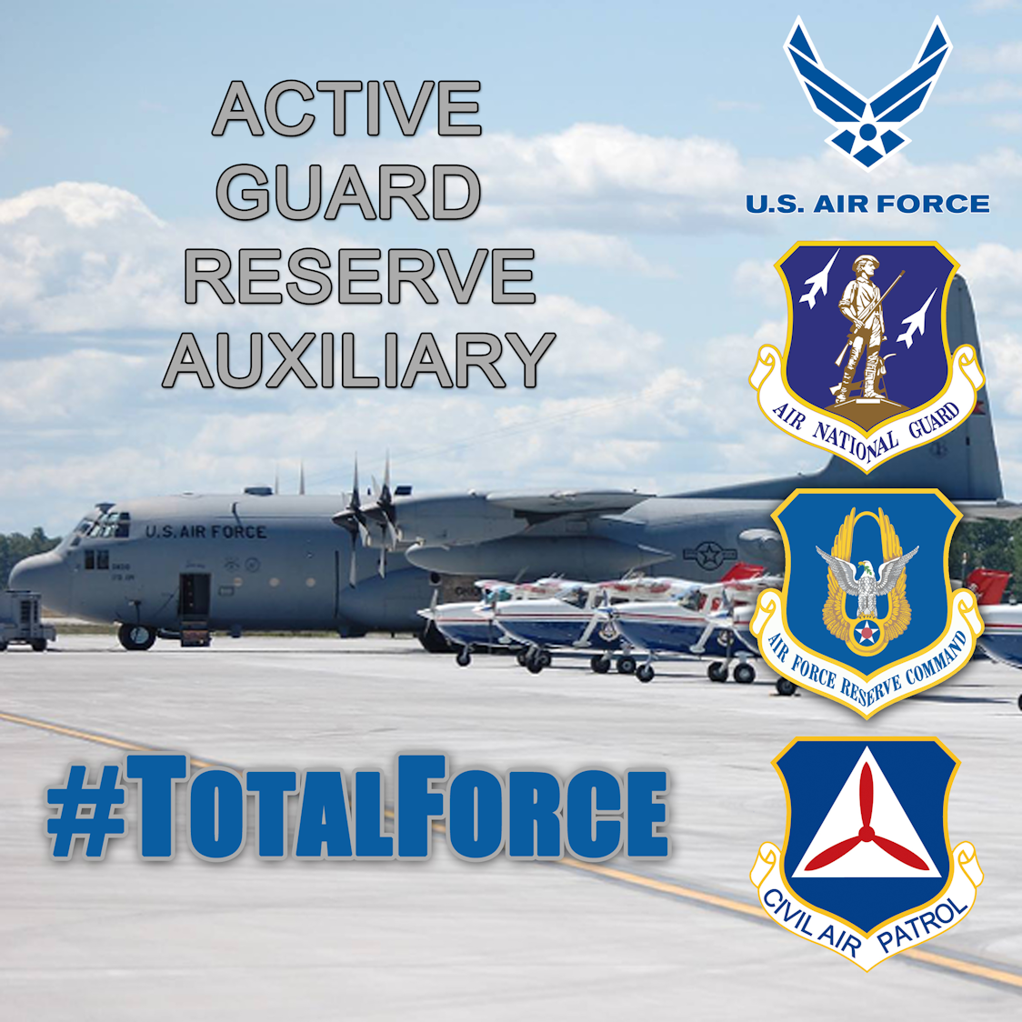 air force total force assignments