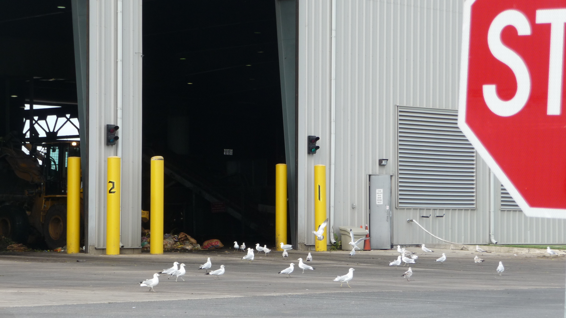 Photo 2 56043cd4d79ee