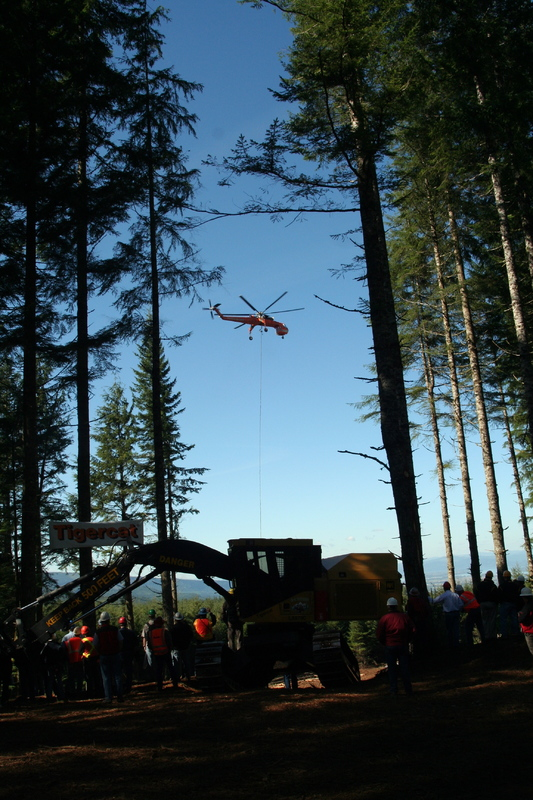 2006 09 23 Live in the Woods Show PLC IMG 0655 56aab3821c278