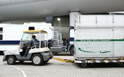 Hactl Horse 2 56c5e05aebffe Hactl Horse 2 56c5e05aebffe