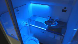 Selfcleaninglav1 56d87586ea38e
