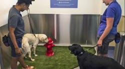 Oregon Guide Dogs for the Blind trainers LaCrisha Kaufman and &ldquo;Jiminy&rdquo; (left) and LaniJo Bachmann and &ldquo;Veron&rdquo; check out the new PDX Pet Relief Area.