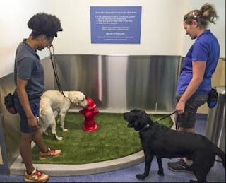 Oregon Guide Dogs for the Blind trainers LaCrisha Kaufman and &ldquo;Jiminy&rdquo; (left) and LaniJo Bachmann and &ldquo;Veron&rdquo; check out the new PDX Pet Relief Area.