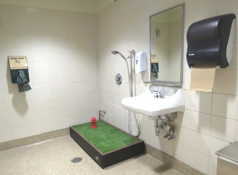 Inside the Indoor Service Animal/Pet Relief Room at Midway.