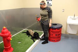 Each of the indoor SARA’s features a 100 sq. ft. wheelchair accessible space that includes a low profile tub covered with artificial turf and a decorative fire hydrant. Each of the indoor SARA’s features a 100 sq. ft. wheelchair accessible space that includes a low profile tub covered with artificial turf and a decorative fire hydrant.