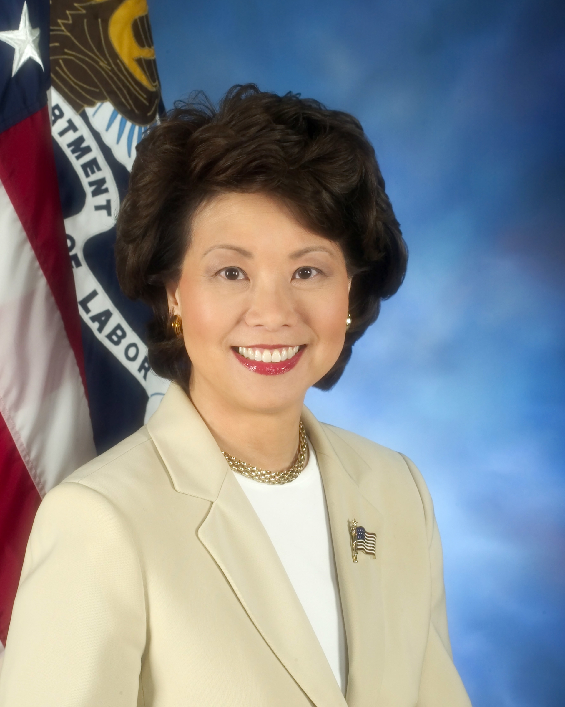 Elaine Chao Large 583ed8c5aec6a