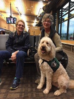 A volunteer dog team with the Whatcom Therapy Dog Program, right, visits with a passenger at Bellingham International Airport. The PETS, Pups Easing Traveler Stress, program launched earlier this month at BLI.