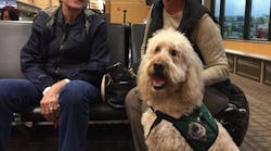 A volunteer dog team with the Whatcom Therapy Dog Program, right, visits with a passenger at Bellingham International Airport. The PETS, Pups Easing Traveler Stress, program launched earlier this month at BLI.