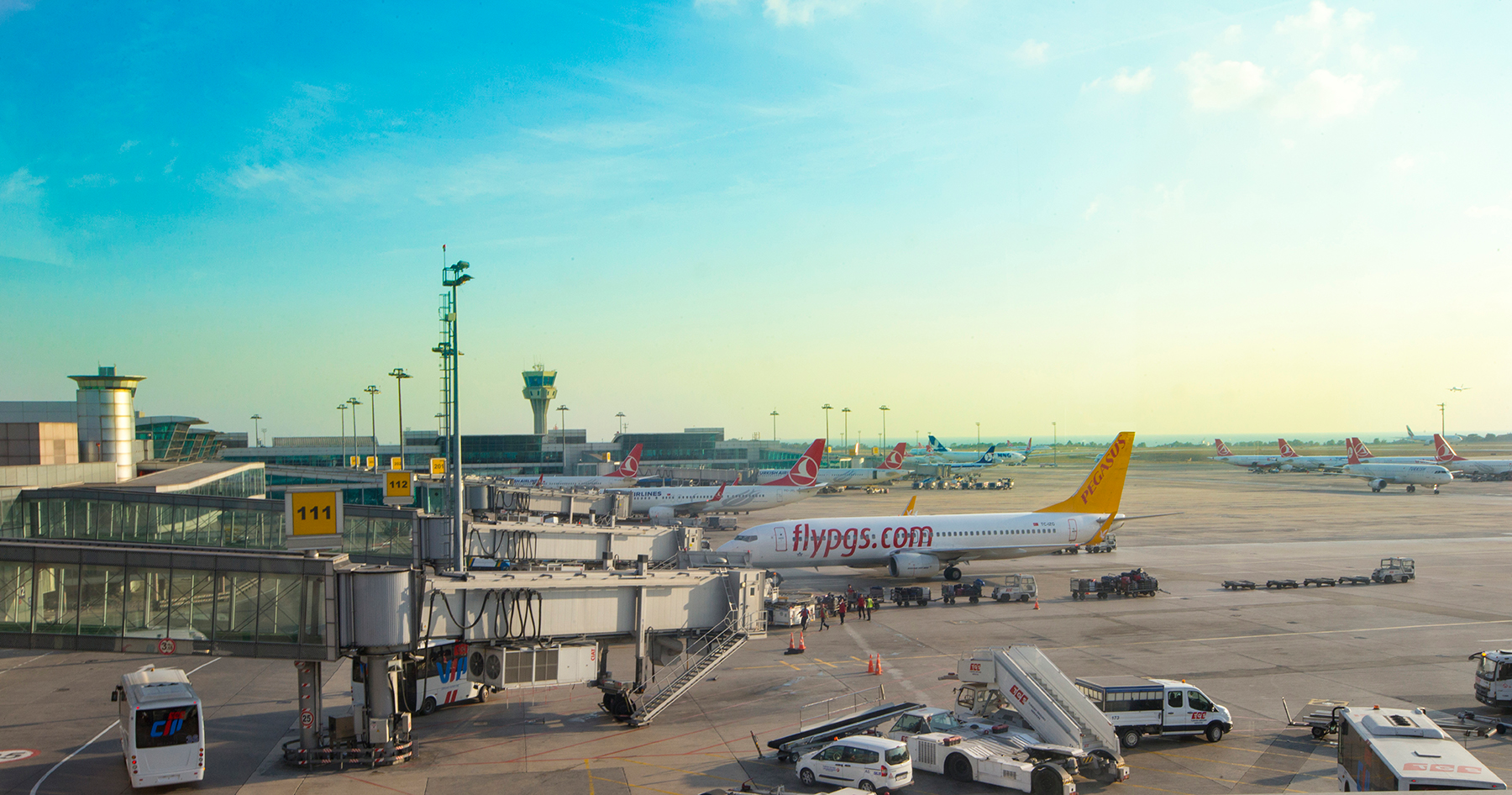 International 5849bb77752ca