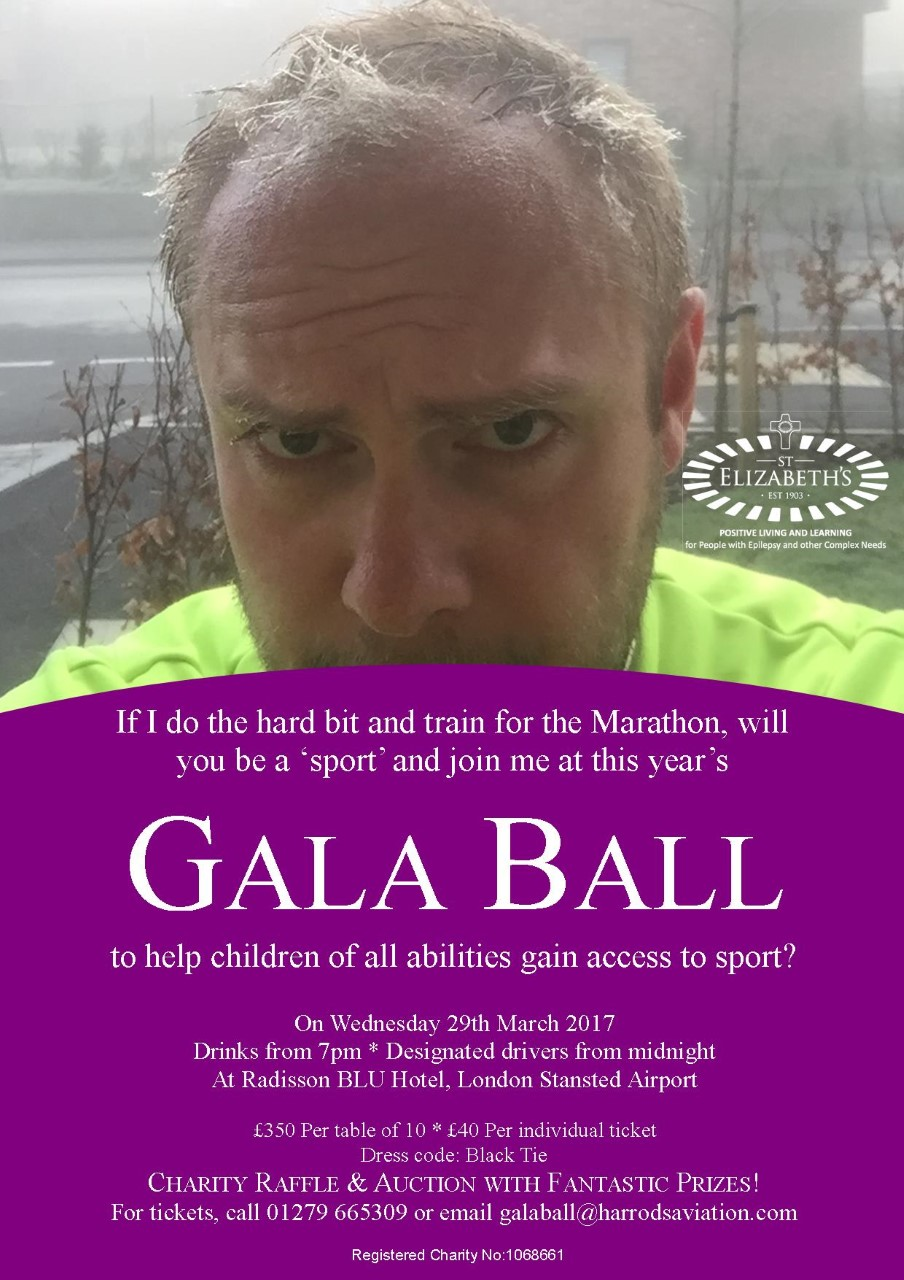 Freeze Gala Ball Poster 2017 58ae03a60b5a4