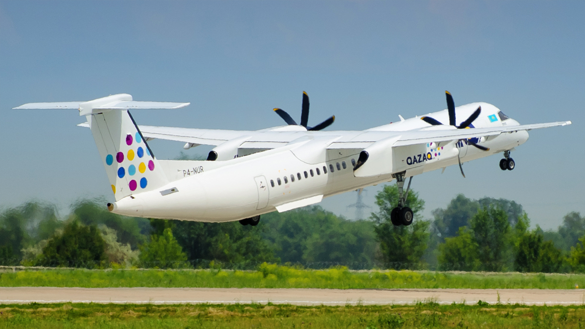 Dsc 6255l 58ff50b5dedd1