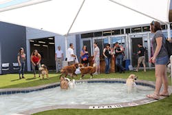 The environmentally friendly facility will feature dog and cat boarding, a pet pool, Indoor and Outdoor play yards The environmentally friendly facility will feature dog and cat boarding, a pet pool, Indoor and Outdoor play yards