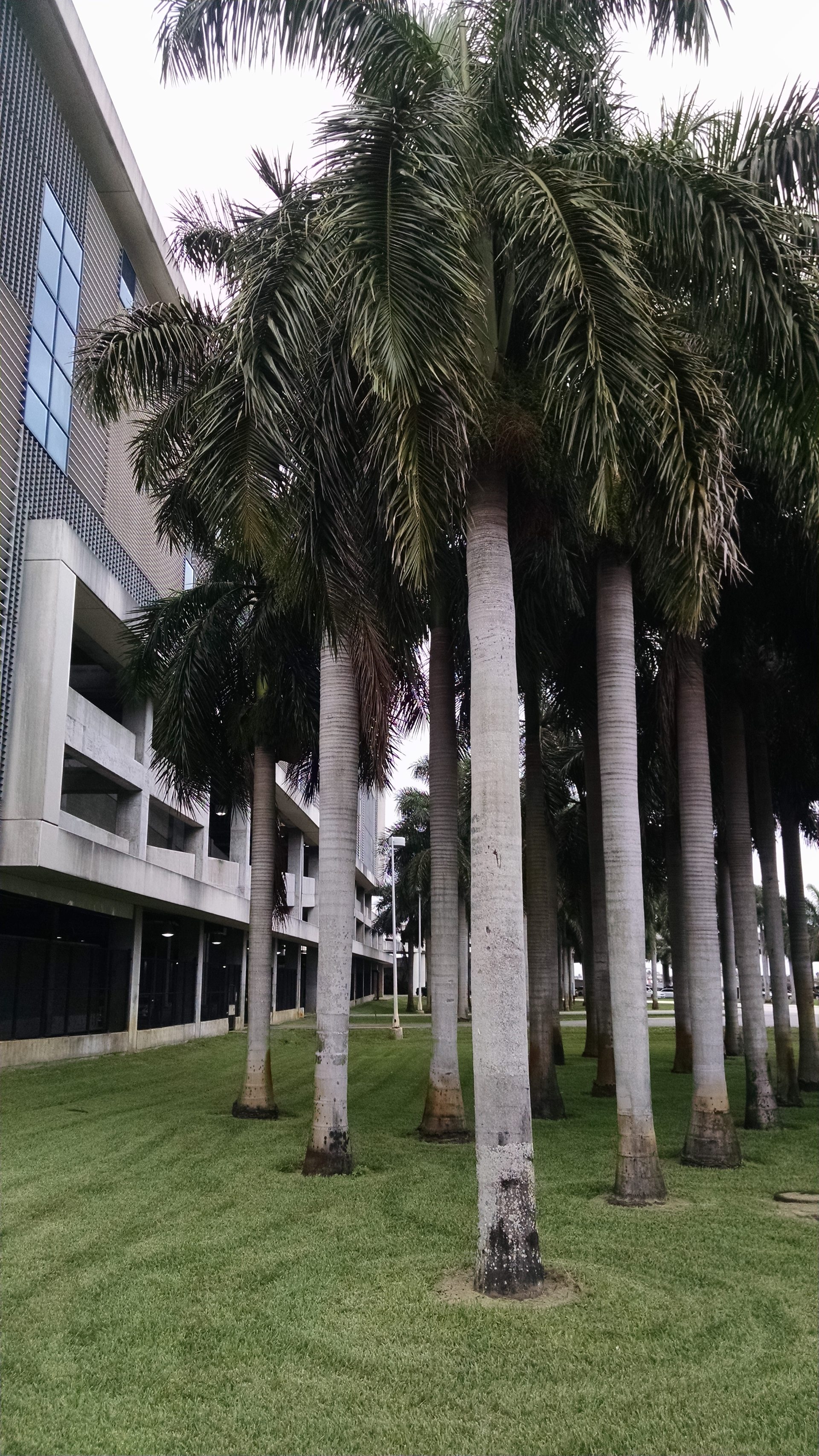 Exterior landscaping at the Cypress Garage