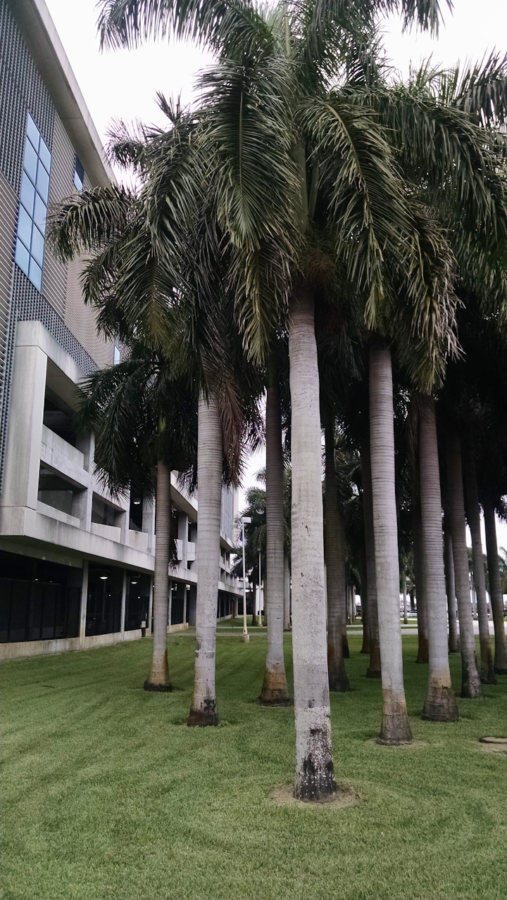 Fort Lauderdale Hollywood International Airport Hibiscus Garage Plugshare