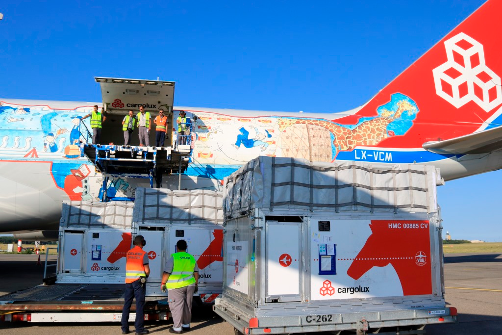 Img 0200 5995ca69ccc13