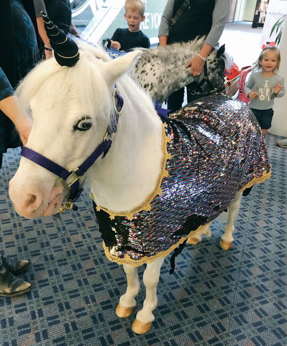 CVG&rsquo;s partnership with Seven Oaks Farm began in 2016 and brings miniature therapy horses to the airport&rsquo;s Terminal twice a month.