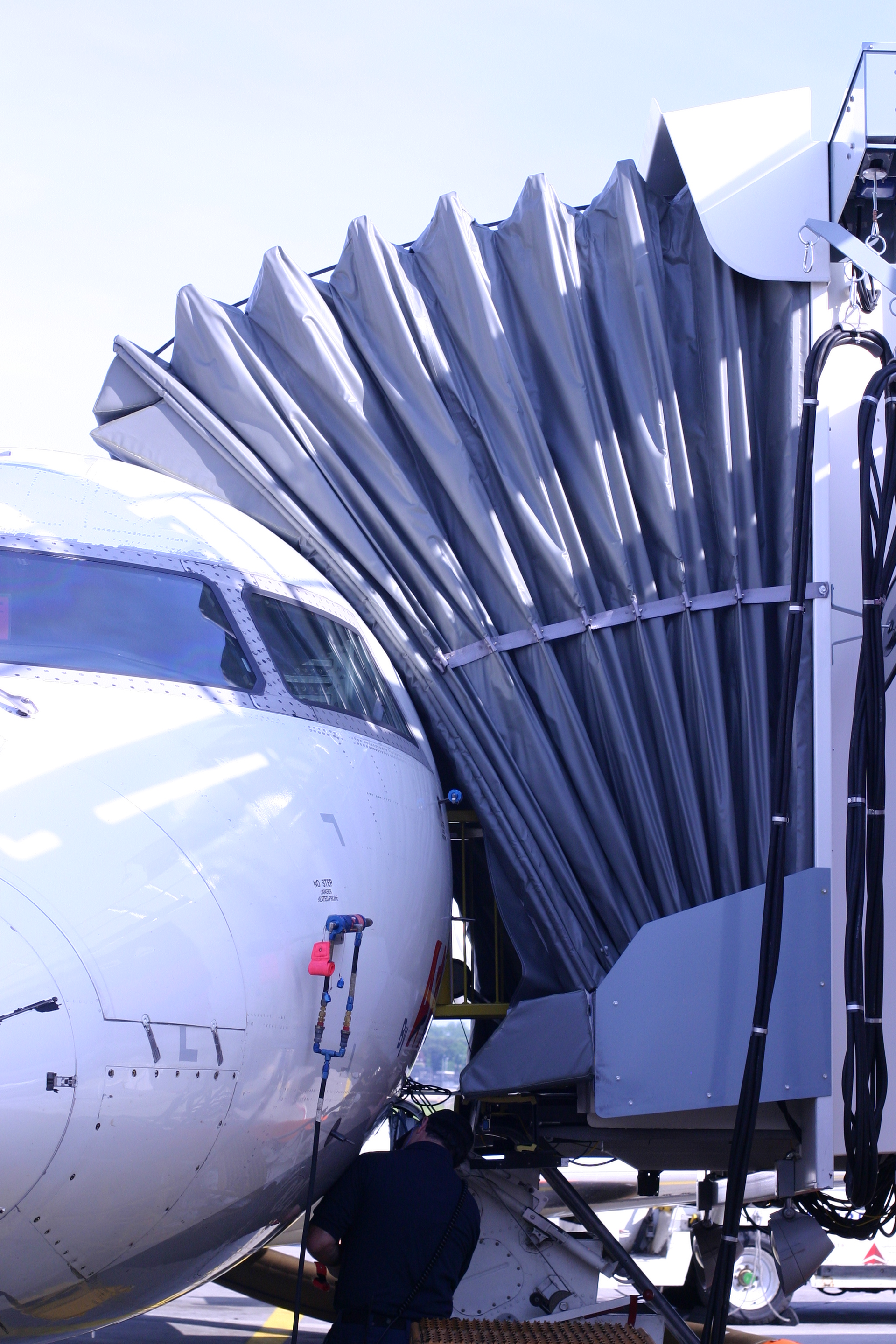 Canopy Extended 5a4e5cb52859a