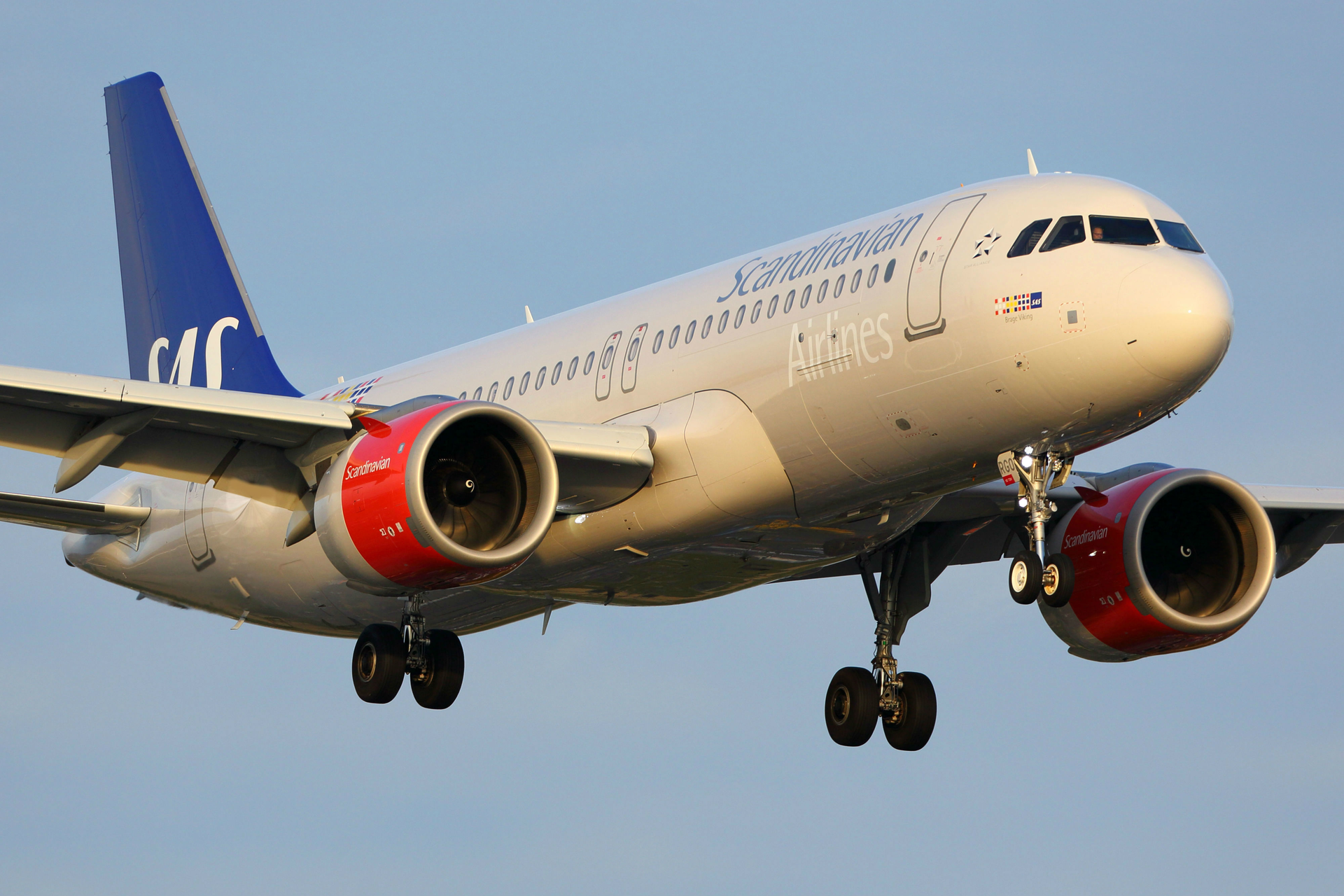 SAS A320neo