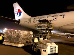 Img 34721 5a73692c69c60 Img 34721 5a73692c69c60