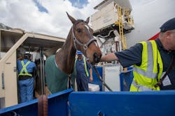 0104 5ac628c80f4f9 0104 5ac628c80f4f9