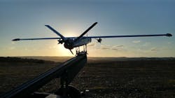 Blue Bird 2 5b1564e164488 Blue Bird 2 5b1564e164488