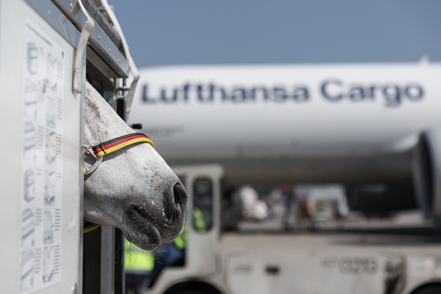 Lufthansa Cargo Pet Transport 2024 www.zsdolakova.cz