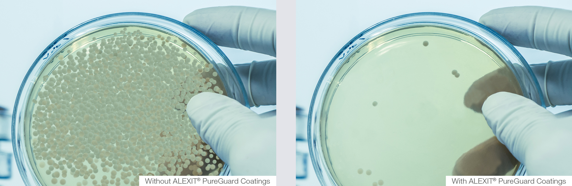 AV PureGuard Coatings Vergleich 190111 5c3c9c1cd9826