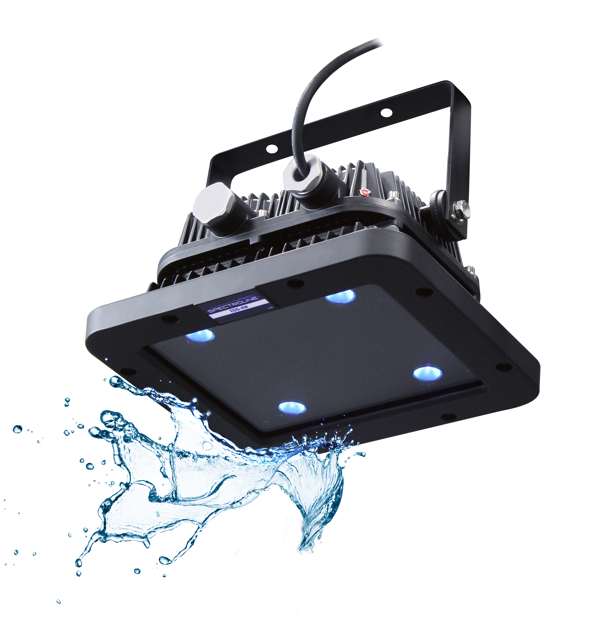 Edg 4 W Lamp Splash 2018 V2 5c3e1edfb2cc5