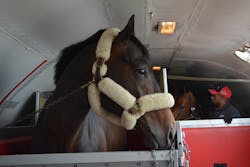 Dsc 1299 5c99222f2d82b Dsc 1299 5c99222f2d82b