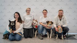 Moscow Domodedovo Airport created a dedicated area where passengers could pat or hug a dog. Moscow Domodedovo Airport created a dedicated area where passengers could pat or hug a dog.