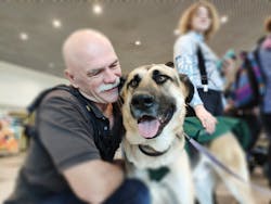 Dme Dogs2 5cc87e5ab0448 Dme Dogs2 5cc87e5ab0448