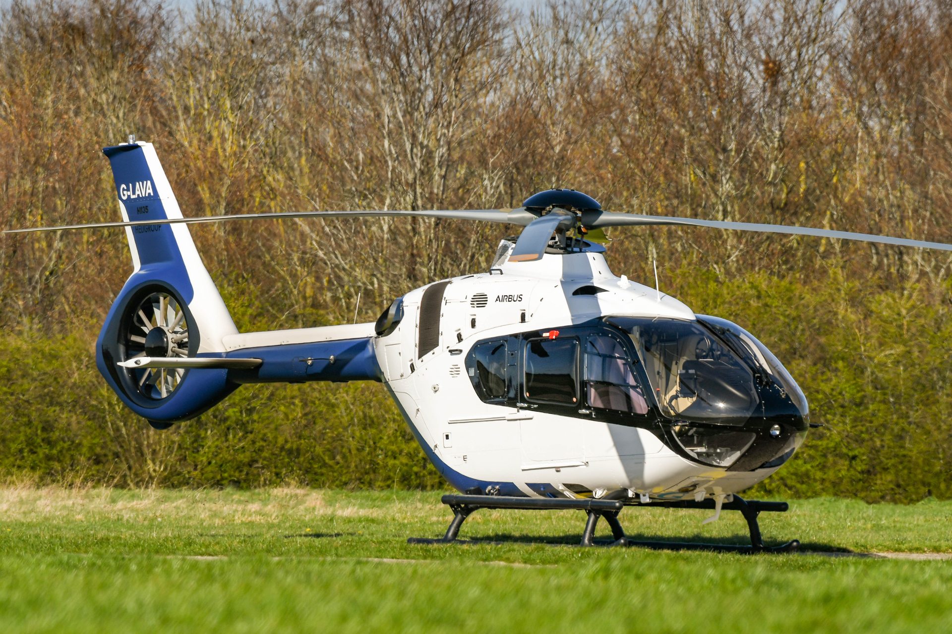 Airbus H135